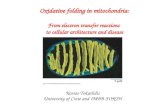 Kostas Tokatlidis University of Crete and IMBB-FORTH Oxidative folding in mitochondria: From electron transfer reactions to cellular architecture and disease.