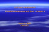 Life Span Development Prenatal Development and Birth – Chapter 4 June 15, 2004 Class #3.