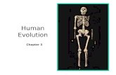 Human Evolution Chapter 3. Darwin and Human Evolution Lamarck posed the hypothesis about our relation to apes before Darwin Darwin published “Descent.