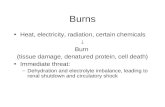 Burns Heat, electricity, radiation, certain chemicals  Burn (tissue damage, denatured protein, cell death) Immediate threat: –Dehydration and electrolyte.