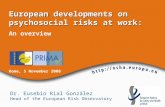 Dr. Eusebio Rial González Head of the European Risk Observatory European developments on psychosocial risks at work: An overview Rome, 5 November 2008.