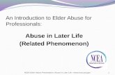 An Introduction to Elder Abuse for Professionals: Abuse in Later Life (Related Phenomenon) NCEA Elder Abuse Presentation: Abuse in Later Life .