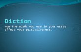 How the words you use in your essay effect your persuasiveness.