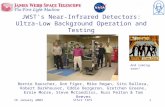 16 January 2003STScI TIPS1 JWST's Near-Infrared Detectors: Ultra-Low Background Operation and Testing Bernie Rauscher, Don Figer, Mike Regan, Sito Balleza,