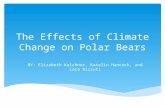 The Effects of Climate Change on Polar Bears BY: Elizabeth Kelchner, Katelin Hancock, and Lara Rizzuti.