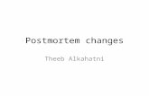 Postmortem changes Theeb Alkahatni. Thanatology The scientific study of death, deathbed visions Death is the transition of life, not the extinction. Biologically,