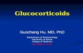 Glucocorticoids Guochang Hu, MD, PhD Department of Pharmacology University of Illinois College of Medicine gchu@uic.edu.