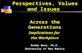 Perspectives, Values and Issues Across the Generations Implications for the Workplace Breda Bova, Ph.D. University of New Mexico.