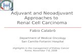 Adjuvant and Neoadjuvant Approaches to Renal Cell Carcinoma Fabio Calabrò Department of Medical Oncology San Camillo-Forlanini Hospital Highlights in the.