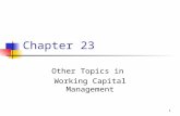 1 Chapter 23 Other Topics in Working Capital Management.
