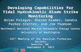 NNMREC Developing Capabilities for Tidal Hydrokinetic Blade Strike Monitoring Brian Polagye, Sharon Kramer, Sandra Parker- Stetter, and Jim Thomson Northwest.