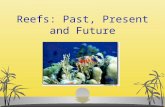 Reefs: Past, Present and Future. What is a Reef?