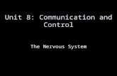 Unit 8: Communication and Control The Nervous System.