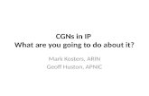 CGNs in IP What are you going to do about it? Mark Kosters, ARIN Geoff Huston, APNIC.