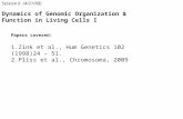 Session 6 (4/21/09) Dynamics of Genomic Organization & Function in Living Cells I Papers covered: 1.Zink et al., Hum Genetics 102 (1998)24 – 51. 2.Pliss.