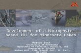 Development of a Macrophyte-based IBI for Minnesota Lakes Marcus Beck University of Minnesota Department of Fisheries, Wildlife, and Conservation Biology.
