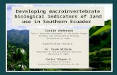 Developing macroinvertebrate biological indicators of land use in Southern Ecuador Carrie Anderson Team 2: Watershed Management of the Andean Paramo Ecology.