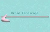 Urban Landscape. Contents Urbanization Network of Urban Centres Spatial Patterns in Urban Landscapes Urban Problems