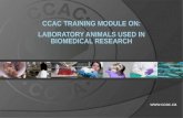Www.ccac.ca.  This training module is relevant to all animal users working with animals housed in vivaria (enclosed areas such as laboratories) in biomedical.