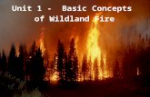 01-1-S190-EP Unit 1 - Basic Concepts of Wildland Fire.