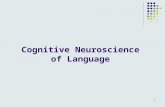 Cognitive Neuroscience of Language 1. Premise 1: Constituent Cognitive Processes Phonological analysis Syntactic analysis Semantic analysis Premise 2:
