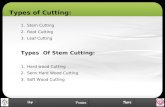 1.Stem Cutting 2.Root Cutting 3.Leaf Cutting Types Of Stem Cutting: 1.Hard wood Cutting 2.Semi Hard Wood Cutting. 3.Soft Wood Cutting Types of Cutting: