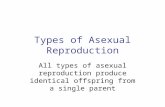 Types of Asexual Reproduction All types of asexual reproduction produce identical offspring from a single parent.