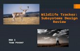 Wildlife Tracker: Subsystems Design Review MSD I Team P14347.