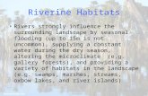 Riverine Habitats Rivers strongly influence the surrounding landscape by seasonal flooding (up to 15m is not uncommon), supplying a constant water during.