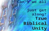 Can’t we all just get along? True Biblical Unity.