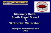 Nisqually Delta, South Puget Sound & Skokomish Watershed Flying for Fish Habitat Tours 2009.