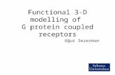 Functional 3-D modelling of G protein coupled receptors Uğur Sezerman.