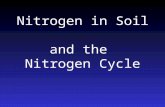 Nitrogen in Soil and the Nitrogen Cycle. What Is Nitrogen? Chemical Element, commonly a colorless, tasteless, odorless gas. 78 % by volume of the Earth’s.