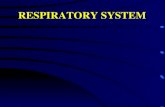 RESPIRATORY SYSTEM. I. Respiratory system - General purpose and structure 1. AIR CONDUCTING PORTION a. Nasal cavity, oral cavity b. Nasopharynx, oropharynx,