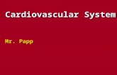 Cardiovascular System Mr. Papp. The Blood Vessels The cardiovascular system has three types of blood vessels: The cardiovascular system has three types.