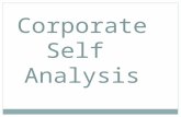 Corporate Self Analysis. Corporate Self-Analysis Corporate Self-Analysis is the task of examining your own company – its cultural characteristics and.