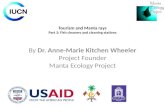 Tourism and Manta rays Part 3: Fish cleaners and cleaning stations By Dr. Anne-Marie Kitchen Wheeler Project Founder Manta Ecology Project.