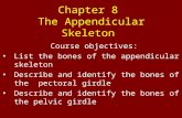 Chapter 8 The Appendicular Skeleton Course objectives: List the bones of the appendicular skeleton Describe and identify the bones of the pectoral girdle.