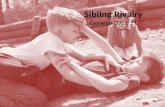 Sibling Rivalry Genesis 37:1-11. Conflict Between Brothers is a Central Theme In OT History.