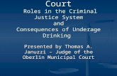 Oberlin Municipal Court Roles in the Criminal Justice System and Consequences of Underage Drinking Presented by Thomas A. Januzzi â€“ Judge of the Oberlin