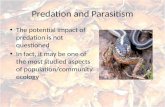 Predation and Parasitism The potential impact of predation is not questioned In fact, it may be one of the most studied aspects of population/community.