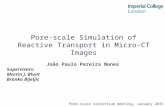 Pore-scale Simulation of Reactive Transport in Micro-CT Images João Paulo Pereira Nunes Supervisors: Martin J. Blunt Branko Bijeljic Pore-scale consortium.