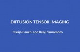 DIFFUSION TENSOR IMAGING Marija Cauchi and Kenji Yamamoto.