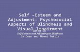 Self –Esteem and Adjustment: Psychosocial Aspects of Blindness and Visual Impairment Based on Self-Esteem and Adjusting to Blindness By Dean and Naomi.