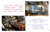 20/5/2004 William Trischuk, stolen from Rainer Wallny Silicon Particle Detectors – Why they are useful and How they work. William Trischuk University of.