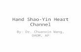 Hand Shao-Yin Heart Channel By: Dr. Chuanxin Wang, DAOM, AP.