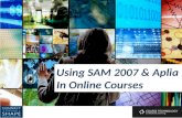 Using SAM 2007 & Aplia In Online Courses. Don Danner San Francisco State University dldanner@sfsu.edu.