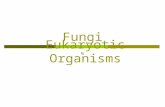 Fungi Eukaryotic Organisms. Fungi  Mycology: The study of fungi.  Fungi: A diverse group! Can be… Heterotrophic: Any organism that cannot synthesize.