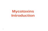 1 Mycotoxins Introduction. 2 Mycotoxins are secondary metabolites ( secondary metabolite: A compound that is not necessary for growth or maintenance of.