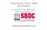 Starting Your Own Business A Guide for Georgia Entrepreneurs .